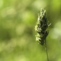 Vom Spätsommer zum Herbst – Einführung in Qigong