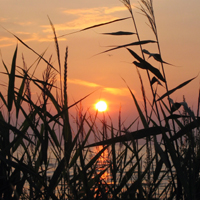 Der Sommer geht zu Ende – die Qigong Kurse beginnen
