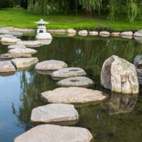 Aufbaukurs „Stressbewältigung mit Hilfe von Qigong“ jetzt auch in Schleswig