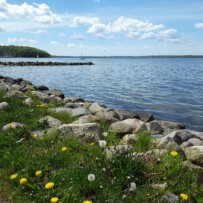 Und trotzdem wird es Frühling….