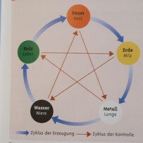 Bildungsurlaubswoche mit Qigong