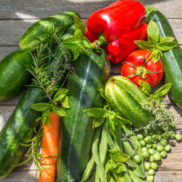 Kochen mit Choosy