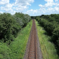 Kurse und Workshops nach den Sommerferien